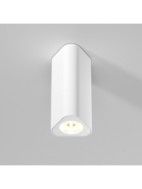 Потолочный светильник Elektrostandard 25110/LED a067063