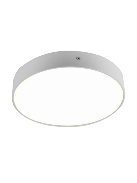 Потолочный светодиодный светильник Favourite Flashled 2065-30C