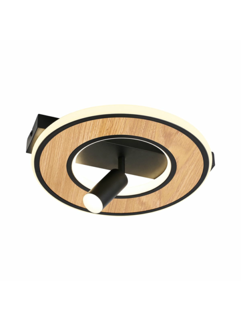 Потолочный светодиодный светильник F-Promo Olika 4438-1C