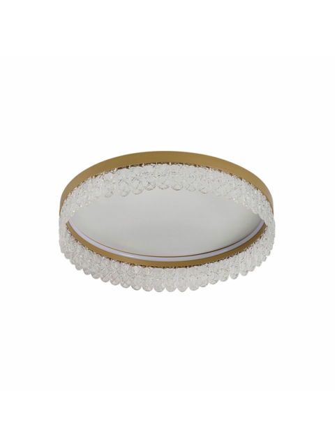 Потолочный светодиодный светильник F-Promo Lunetta 4186-1C