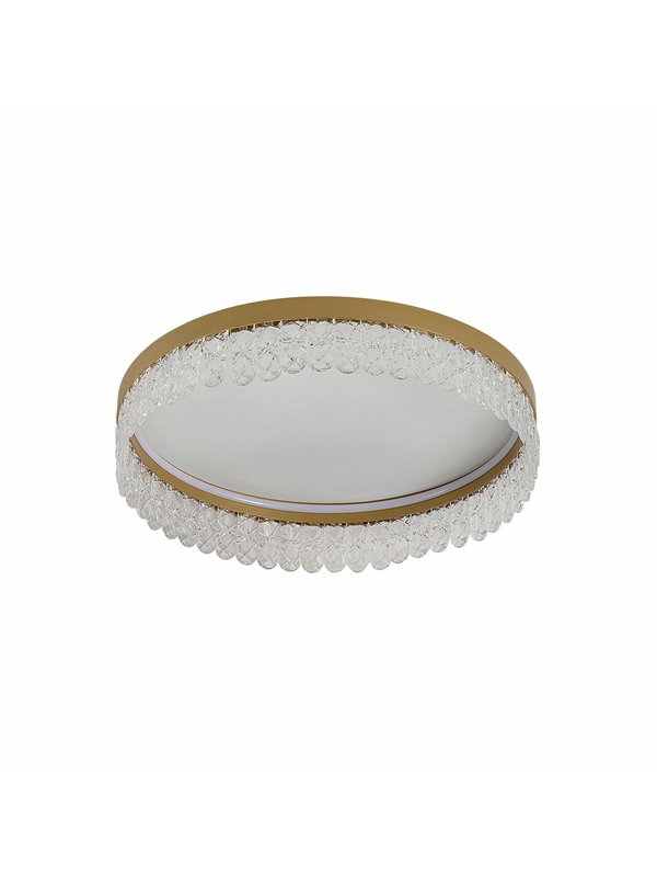 Потолочный светодиодный светильник F-Promo Lunetta 4186-1C