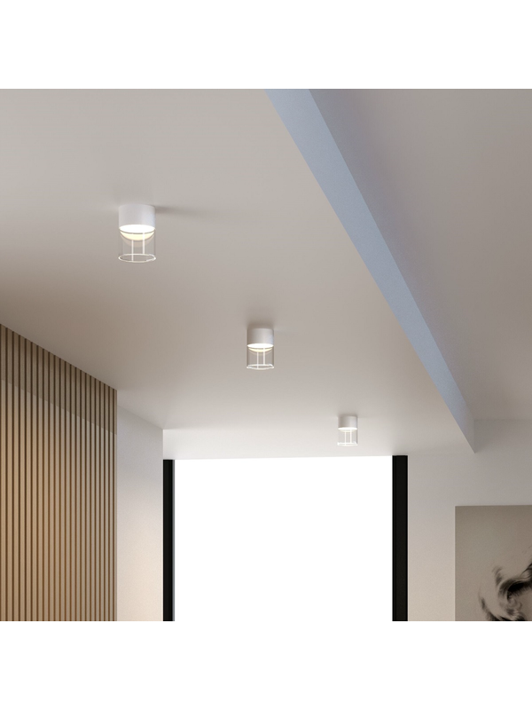 Потолочный светодиодный светильник Elektrostandard Lumen 25047/LED 10W 4000К белый/прозрачный a064710