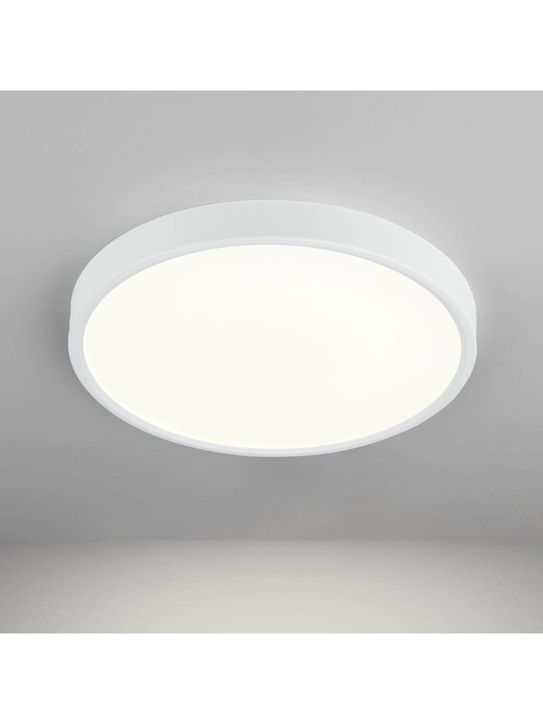 Потолочный светодиодный светильник Elektrostandard DLR034 24W 4200K a043016