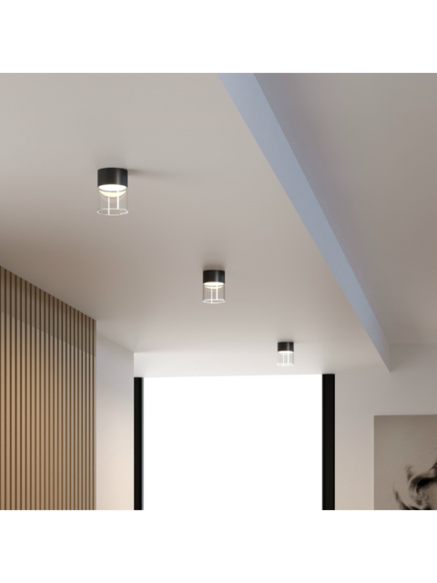 Потолочный светодиодный светильник Elektrostandard Lumen 25047/LED 10W 4000К черный/прозрачный a064709