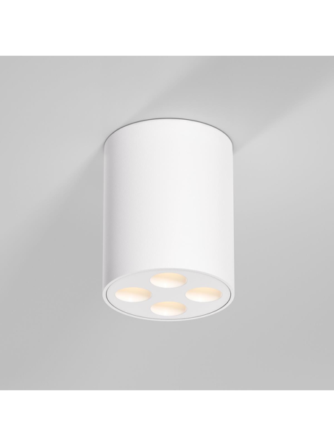 Потолочный светильник Elektrostandard 25111/LED a067482