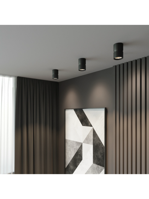 Потолочный светодиодный светильник Elektrostandard Kayo 25049/LED 12W 4000К черный a064729