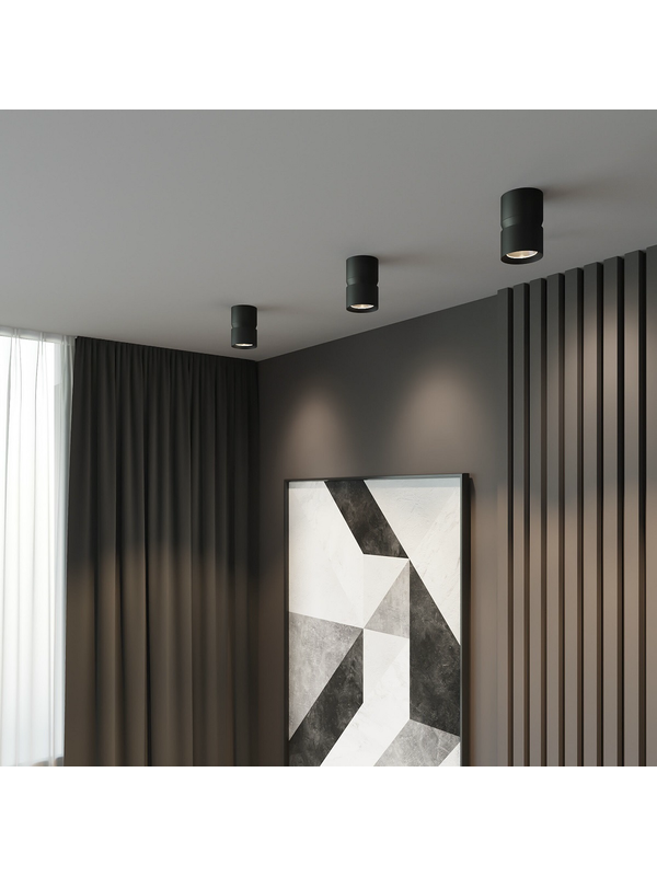 Потолочный светодиодный светильник Elektrostandard Kayo 25049/LED 12W 4000К черный a064729