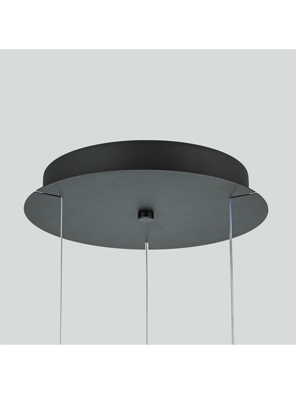Подвесной светодиодный светильник Favourite Ringar 4502-1P — изображение 2