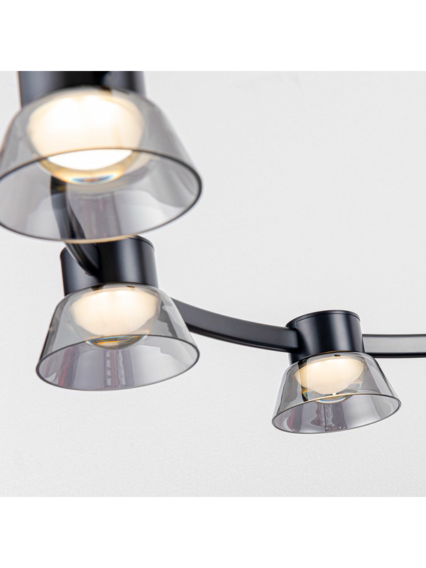 Подвесная светодиодная люстра Favourite Twix 4247-12P — изображение 3