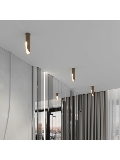 Потолочный светодиодный светильник Elektrostandard Apex 25113/LED a068290