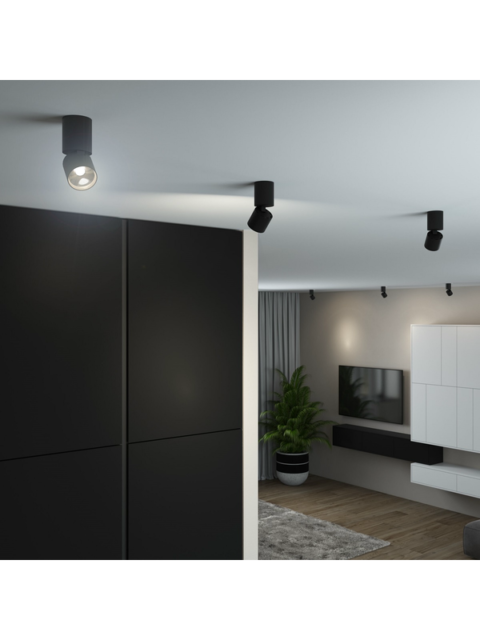 Потолочный светодиодный светильник Elektrostandard Sens 25042/LED 10W 4000K черный a063680