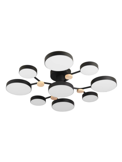 Потолочный светильник LED4U L3201-780 BK