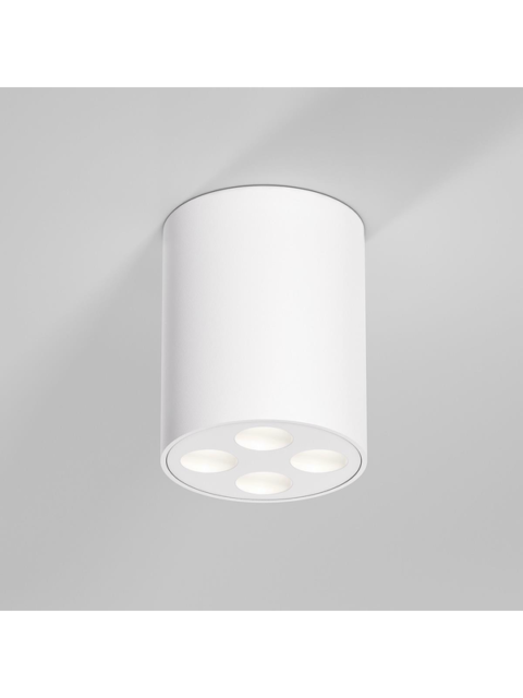 Потолочный светильник Elektrostandard 25111/LED a067483