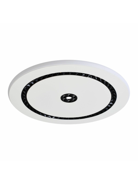 Потолочный светодиодный светильник F-Promo Skiva 4433-1C