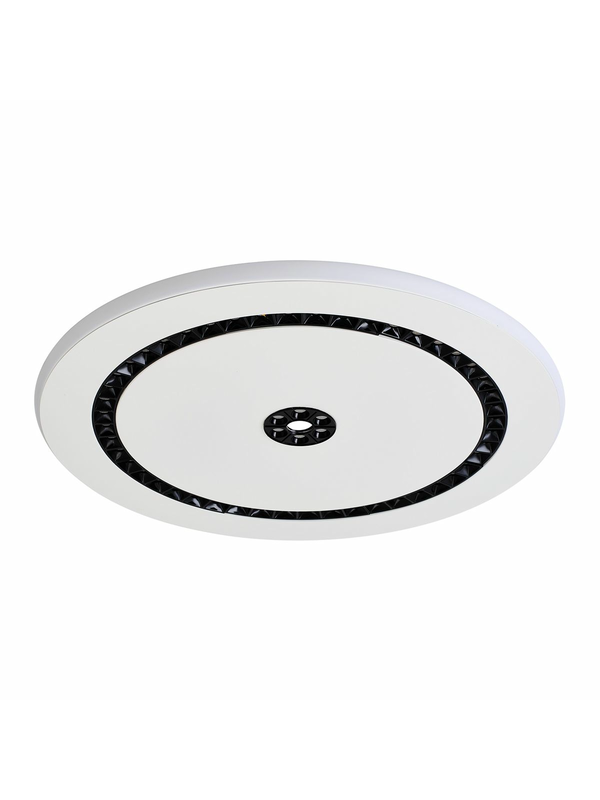 Потолочный светодиодный светильник F-Promo Skiva 4433-1C