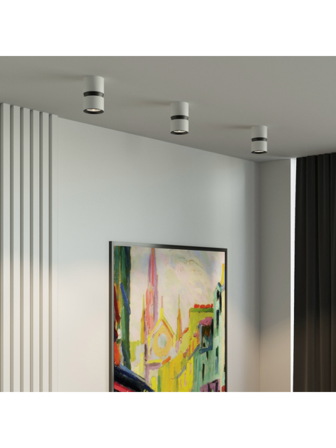 Потолочный светодиодный светильник Elektrostandard Kayo 25049/LED 12W 4000К белый/черный a064731