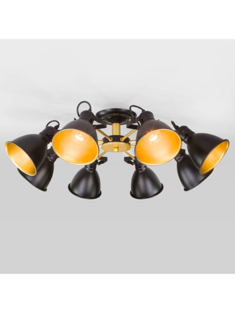 Потолочная люстра Eurosvet Denley 70112/8 черный
