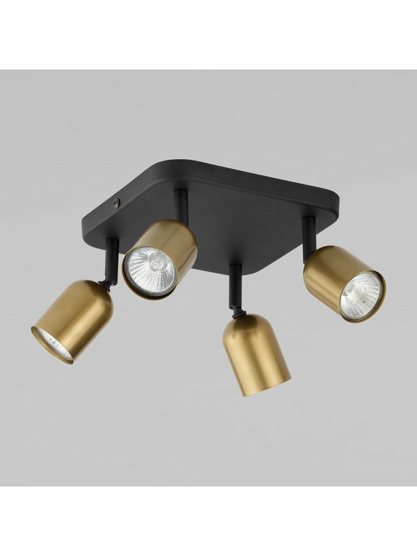 Спот TK Lighting 3307 Top Black Gold